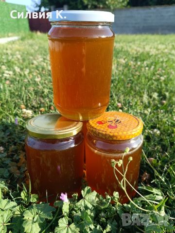 Мед, снимка 4 - Пчелни продукти - 46389554