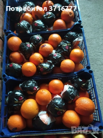 зеленчуци и плодове , снимка 11 - Други стоки за дома - 54265438