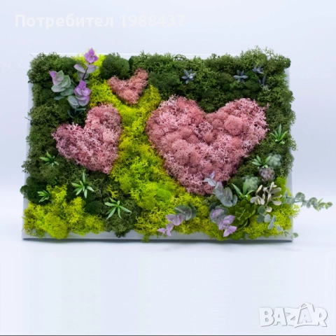 Картини от скандинавски мъх, снимка 2 - Картини - 52662752