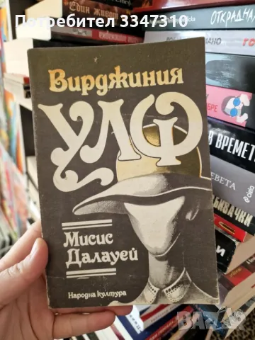 Мисис Далауей - Вирджиния Улф  , снимка 1 - Художествена литература - 49423024