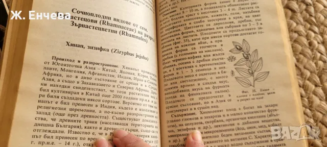 Домашна енциклопедия-Плодолечение и козметика, снимка 2 - Енциклопедии, справочници - 49180036