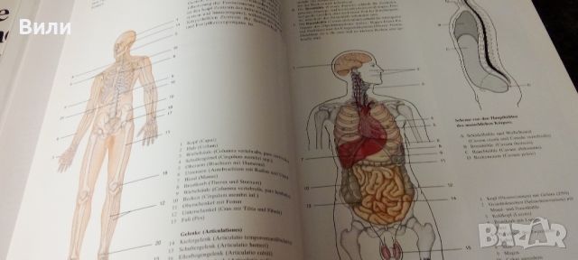 Атласи по анатомия и физиология на немски език , снимка 5 - Учебници, учебни тетрадки - 46582072