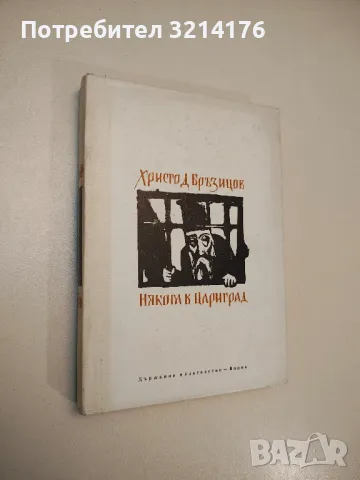 Някога в Цариград - Христо Д. Бръзицов, снимка 1 - Българска литература - 47893958