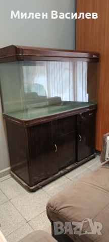 Аквариум, снимка 2 - Аквариуми - 53489582