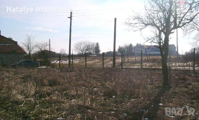 Къща за продажба в Рогозина, област Добрич, снимка 6 - Къщи - 53656407