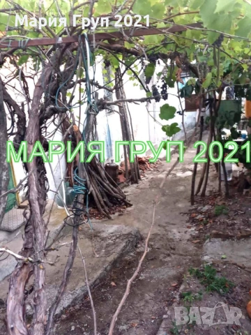 !!!ТОП ОФЕРТА!!!Продавам Къща в село Медово област Стара Загора!!!, снимка 7 - Къщи - 53646202