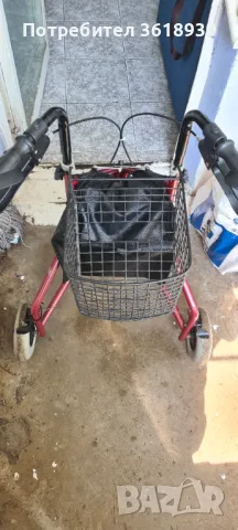 Проходилка английска, снимка 4 - Други - 49929440