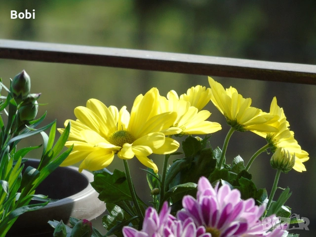 Sony Cyber-shot DSC-H400 – 63x Optical Zoom + аксесоари, снимка 4 - Фотоапарати - 53765466