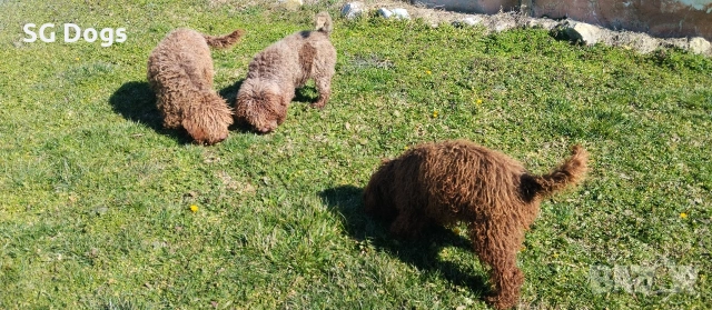 продавам лагото, снимка 13 - Други - 53779021