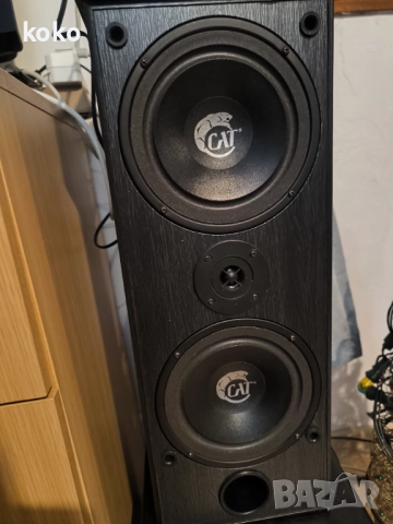 Тонколони немски Cat 