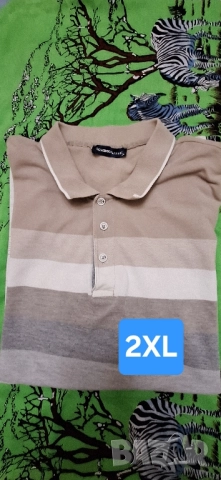 Мъжки тениски с якичка големи размери,2ХL,3XL,4XL, снимка 9 - Блузи - 51620099