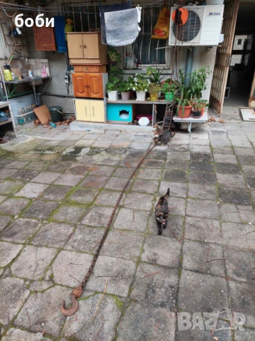 Ръчна верижна лебедка, снимка 4 - Други инструменти - 52854073