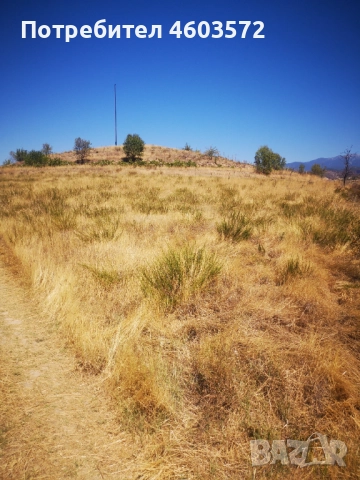 Собственик продава 3 броя парцели, снимка 11 - Парцели - 51817495