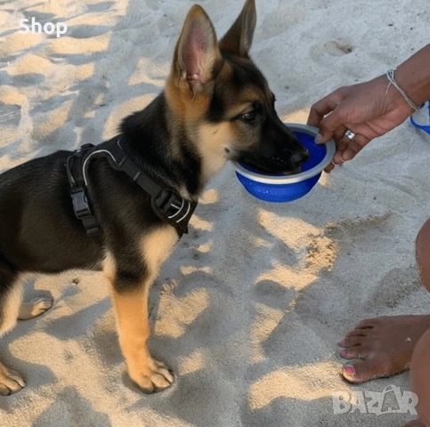 🦮 Каишка за кучета 5в1🏕️, снимка 5 - За кучета - 53662105