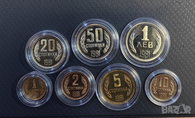 Пълен сет Мат Гланц монети 1981 година , снимка 6 - Нумизматика и бонистика - 53888758