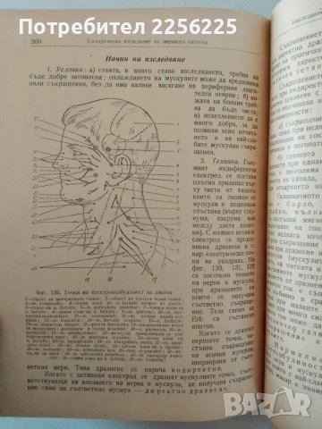 "Практическо ръководство по неврология", снимка 2 - Специализирана литература - 47482195