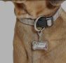 Идентификационен медальон за куче , снимка 2