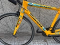Bianchi Team Rynkeby Carbon/Shimano 105 2x11/шосеен велосипед, снимка 2