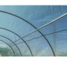 Тунелна оранжерия 800x300x200cm с 2 Врати и 16 прозореца, снимка 2