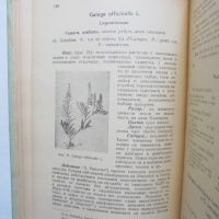 Книга Лечебни растения - Пенчо Икономов и др. 1947 г., снимка 4 - Други - 45682096