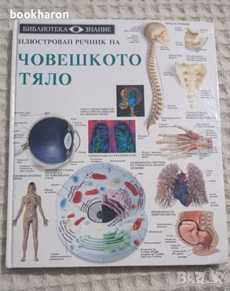 Илюстрован речник на човешкото тяло, снимка 1