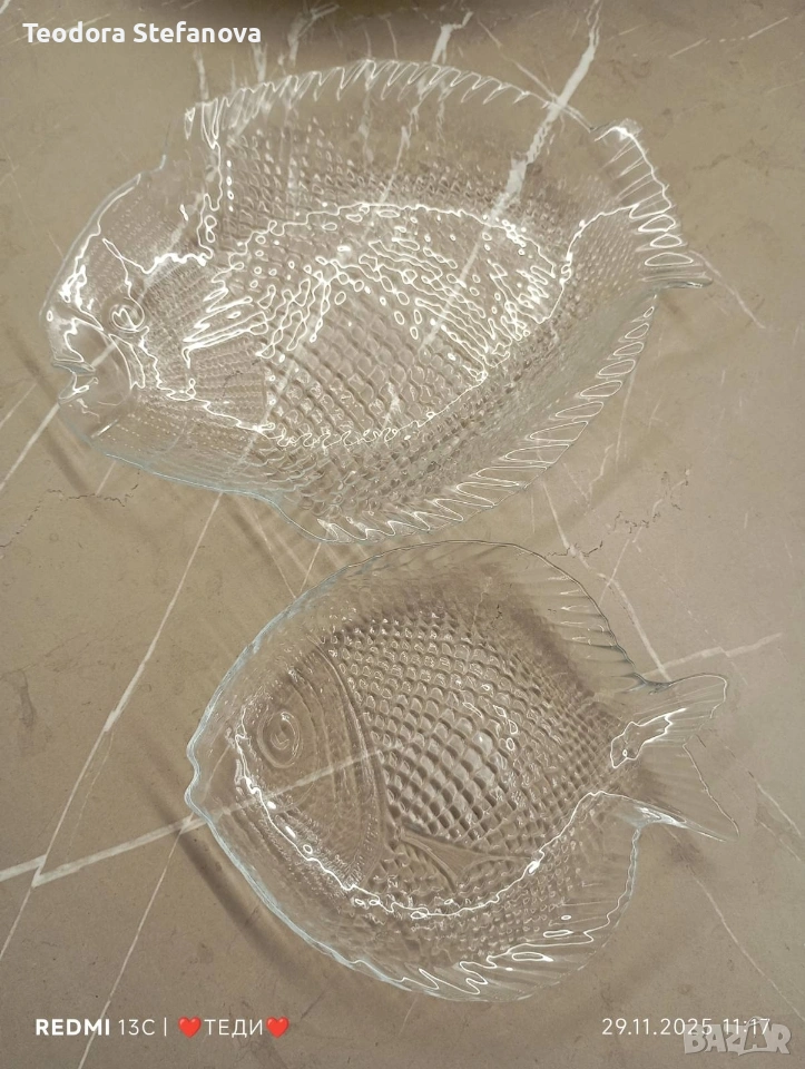 чинии рибка , снимка 1