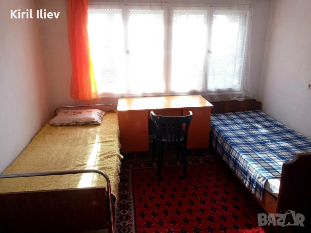 Отдавам под наем самостоятелна стая, снимка 3 - Стаи под наем - 54265073