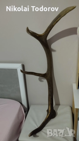 Трофей от сръндак, снимка 4 - Други - 52672901