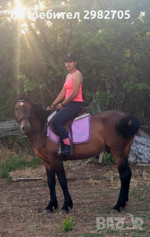 Бг спортен кон , снимка 1