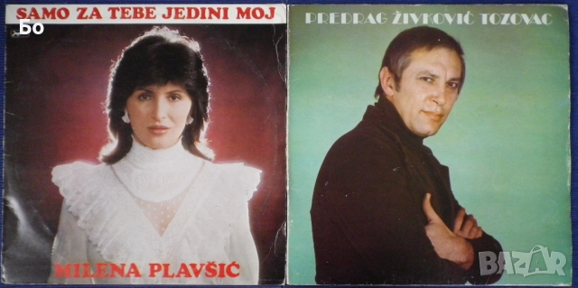 грамофонни плочи Miroslav Ilic, Vesna Zmijanac, Tozovac, Snezana Babic..., снимка 9 - Грамофонни плочи - 36888551