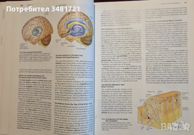 Biological Psychology. An Introduction to Behavioral, Cognitive and Clinical Neuroscience, снимка 9 - Специализирана литература - 53251130