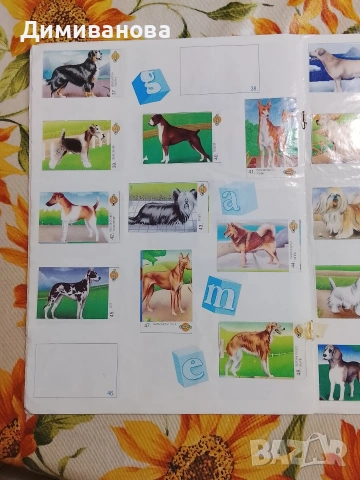 Албум за стикери Chipita Game картинки с кученца, снимка 5 - Колекции - 53524213