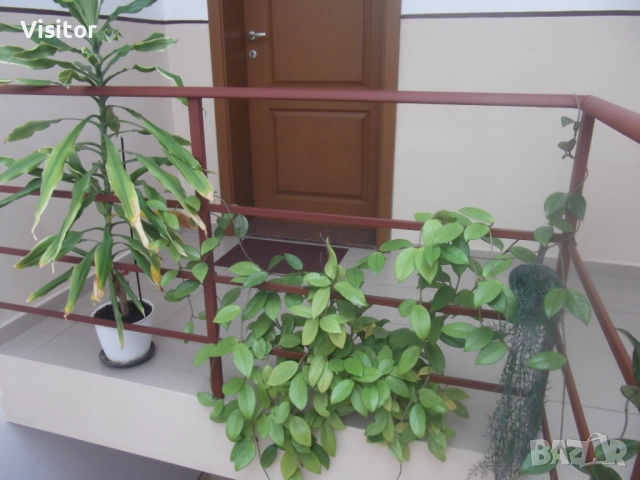 Fujifilm Finepix JX250   14МРх, снимка 18 - Фотоапарати - 52545285