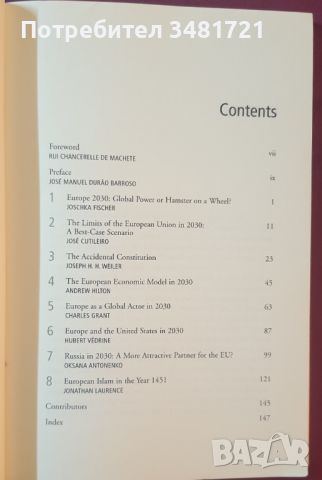 Европа 2030 / Europe 2030, снимка 2 - Специализирана литература - 45080634