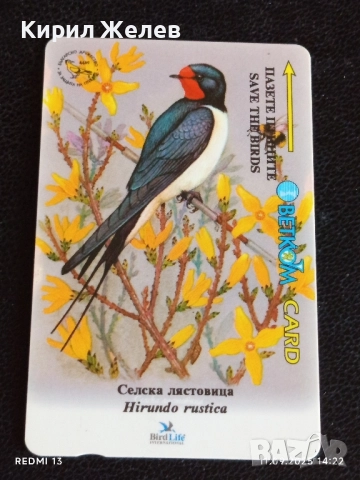 Три фонокарти МОБИКА, БЕТКОМ тема ЖИВОТНИ ПРИЛЕП, ЛЯСТОВИЧКА, БУХАЛ 38400, снимка 6 - Колекции - 51678827