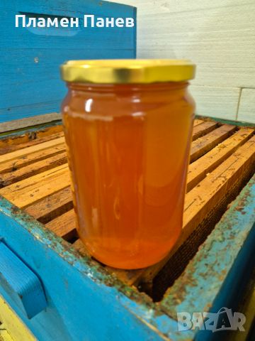 Пчелен мед (лавандула), снимка 3 - Пчелни продукти - 46442569