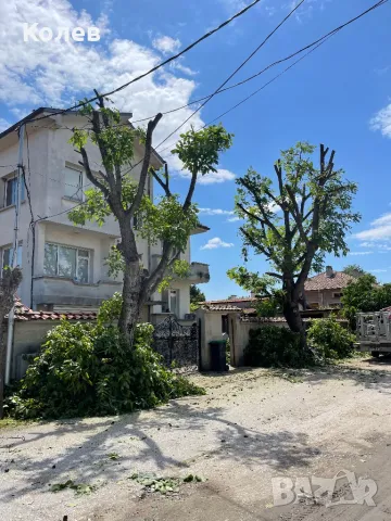 Рязане  и кастрене на рискови дървета Пловдив, снимка 10 - Други услуги - 38903149