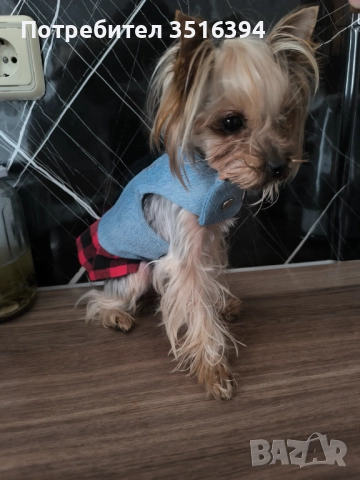 Дрехи за малки кучета, снимка 10 - За кучета - 52323853