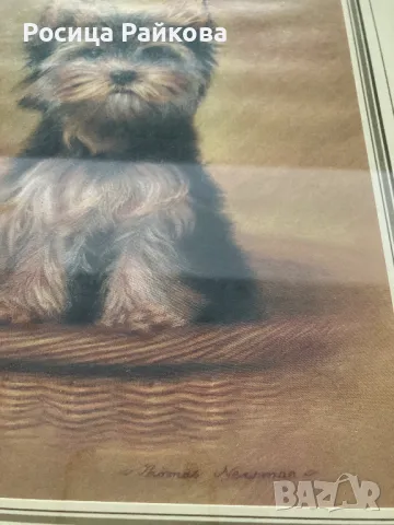 Картина с рамка, снимка 2 - Картини - 50022335