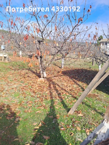 ПРОДАВА, снимка 5 - Парцели - 53014814