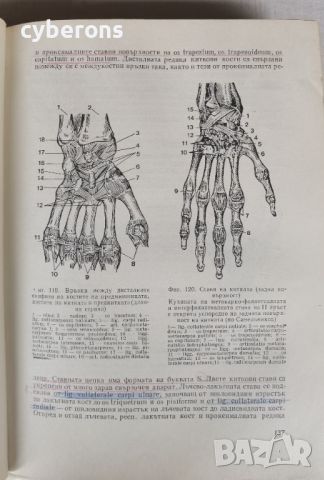 анатомия на човека, учебник с илюстрации, снимка 3 - Учебници, учебни тетрадки - 45808575