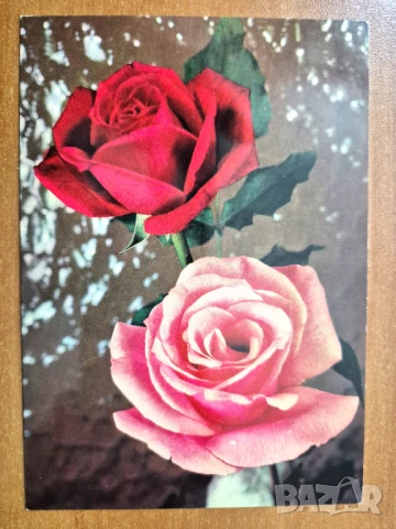 Пощ. картичка   - художествена  Италия