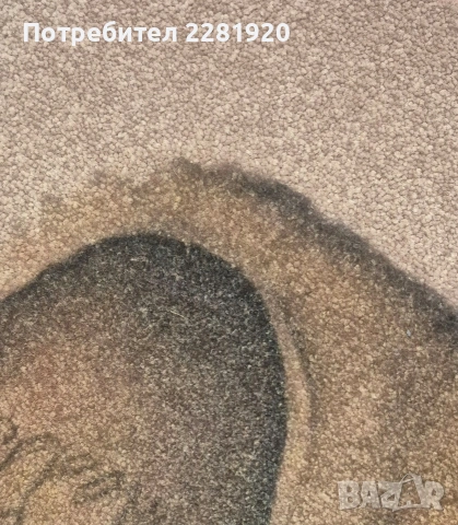 Килими Digital Print 100/150 100% полиамид, снимка 4 - Килими - 53174367