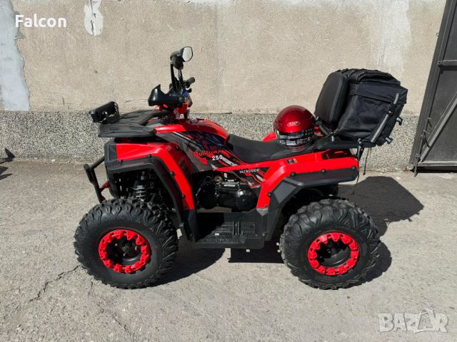 АТВ-ATV 250 cc с лебедка, снимка 6 - Мотоциклети и мототехника - 45113153