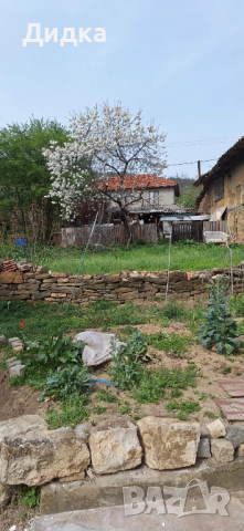 Самостоятелна къща в село Шереметя , снимка 2 - Къщи - 45060372