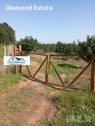 Овощна градина в село Крепост обл. Хасково, снимка 5 - Земеделска земя - 49401487