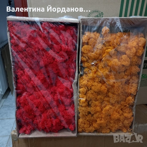 скандинавски мъх , снимка 4 - Декорация за дома - 53371738