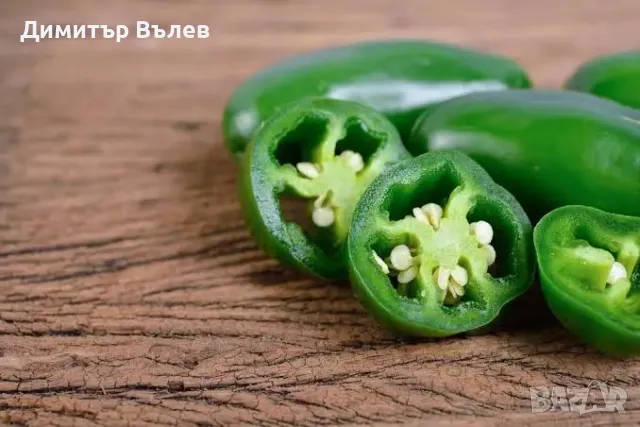 Семе , семена за най-люта чушка Халапеньо!
Една много рзпостранена и средно до силно люта чушка., снимка 3 - Разсади - 47394415