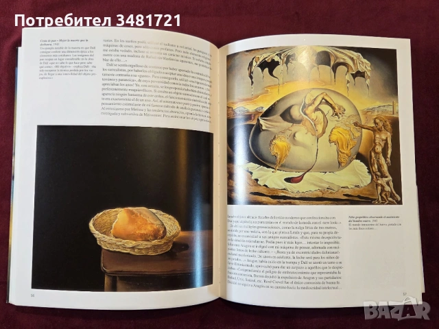 Дали - живот, вдъхновение и произведения / Dalí, снимка 9 - Енциклопедии, справочници - 53748714