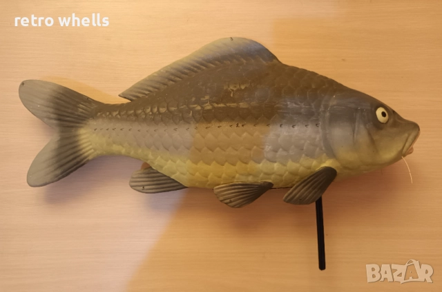 Риба Шаран 3D модел със разрез от Соца, Супер Уникат !!!